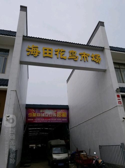 觀賞魚批發(fā)市場是一個集觀賞魚養(yǎng)殖、銷售和文化交流于一體的綜合性市場（廣東湛江觀賞魚批發(fā)市場）