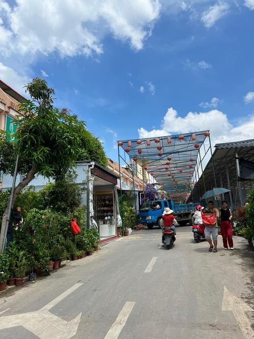 觀賞魚批發市場是一個集觀賞魚養殖、銷售和文化交流于一體的綜合性市場（廣東湛江觀賞魚批發市場）