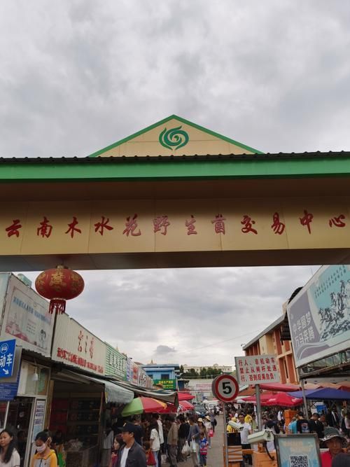 通水族批發市場有哪些專門銷售（昭通水族批發市場和祥龍魚場有哪些高端龍魚品種）