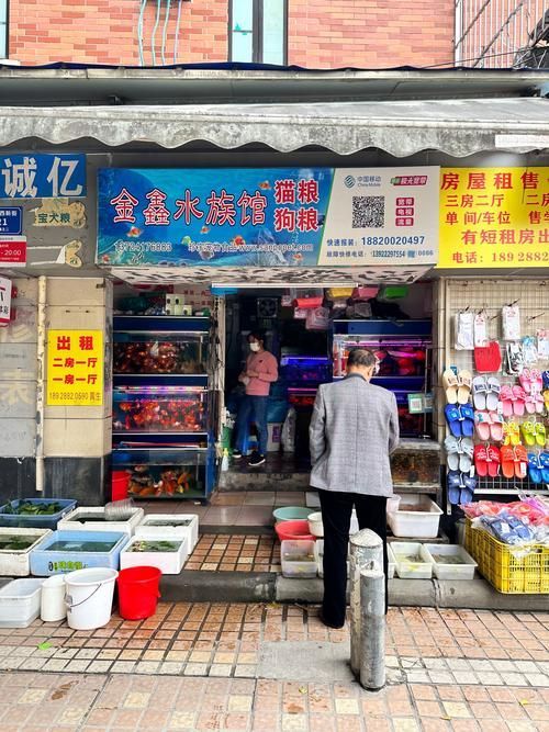 達(dá)州水族批發(fā)市場(chǎng)前景如何？（四川達(dá)州水族批發(fā)市場(chǎng)）