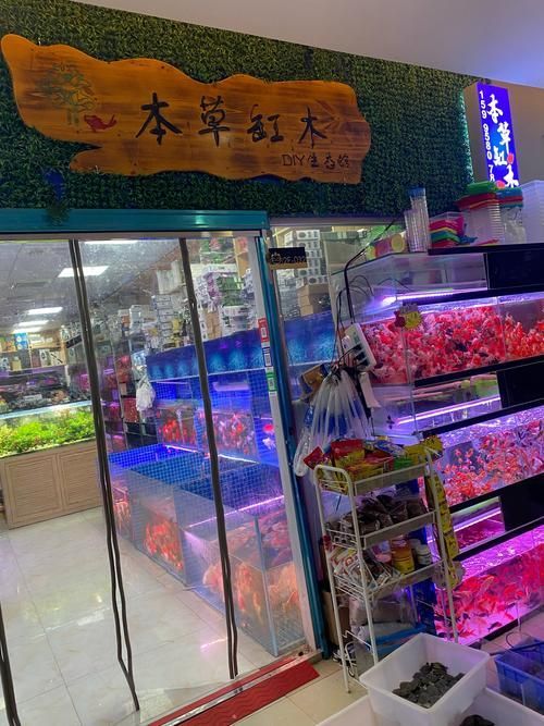 達州水族批發(fā)市場前景如何？（四川達州水族批發(fā)市場）