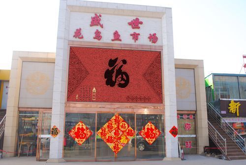 祥龍魚場在臨汾有批發(fā)點嗎？（臨汾觀賞魚批發(fā)市場有哪些特點？）