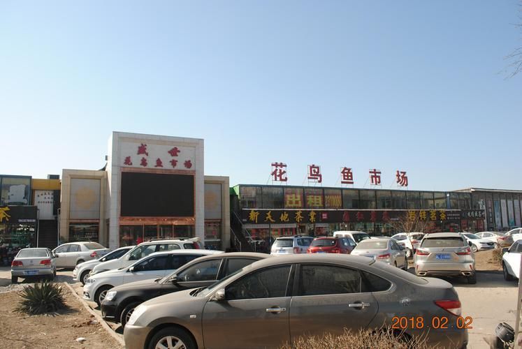 祥龍魚場在臨汾有批發(fā)點嗎？（臨汾觀賞魚批發(fā)市場有哪些特點？）