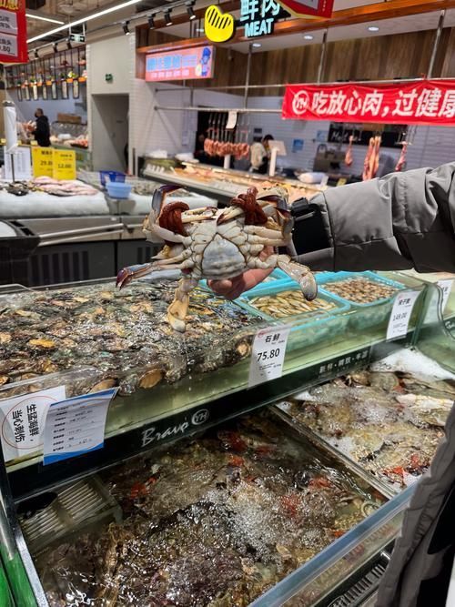 南京水族批發(fā)市場是華東地區(qū)重要的水產(chǎn)品集散地之一祥龍魚場（南京水族批發(fā)市場怎么樣）