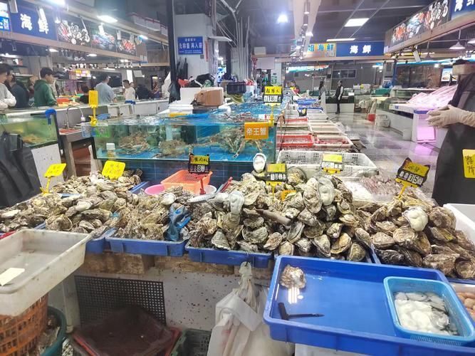 南京水族批發(fā)市場是華東地區(qū)重要的水產(chǎn)品集散地之一祥龍魚場（南京水族批發(fā)市場怎么樣）