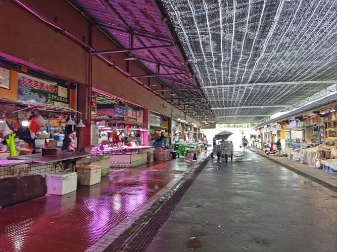 長沙龍魚批發市場是什么？（長沙龍魚批發市場-祥龍魚場）