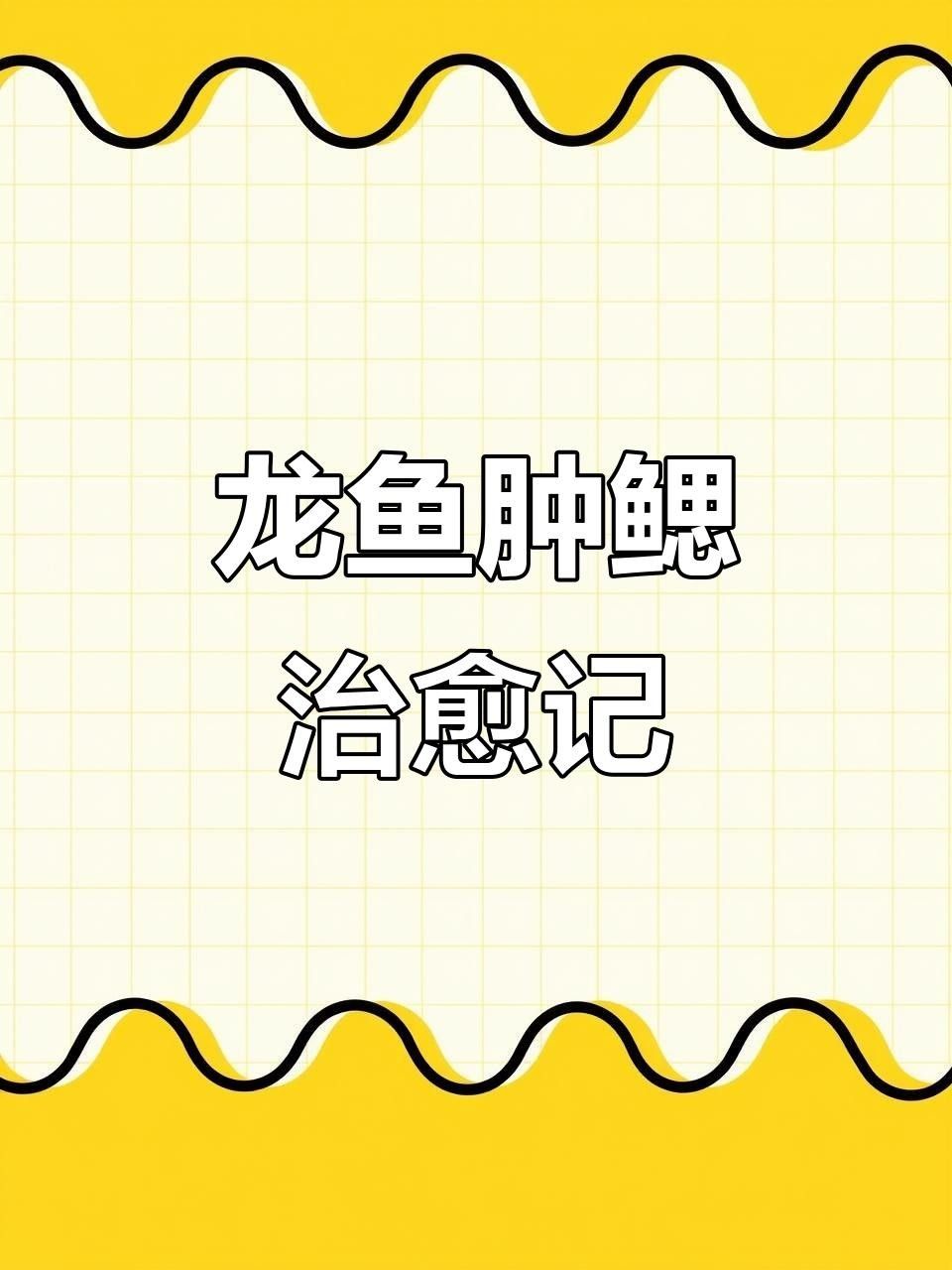 龍魚腮蓋鼓起的原因及解決方法及解決方法及解決方法（龍魚翻腮原因及解決方法，手術技巧全揭秘）