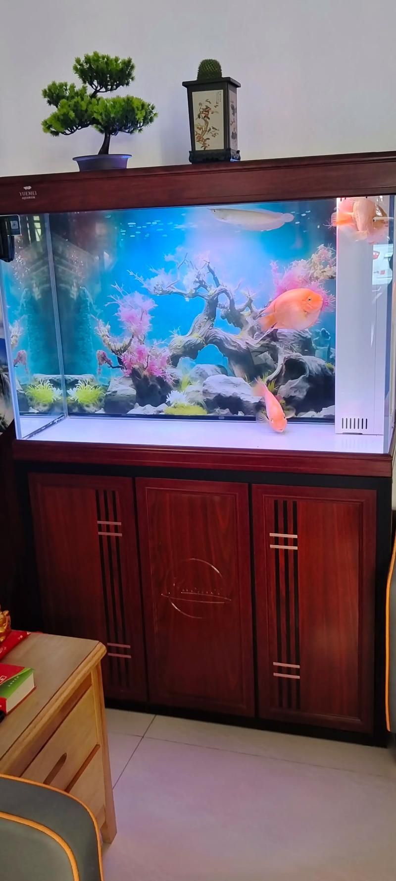 吉安魚缸批發市場的未來發展趨勢如何？（吉安魚缸批發市場怎么樣？）
