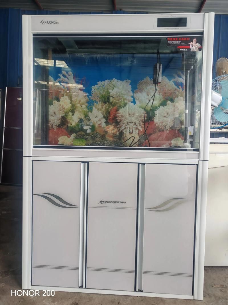 吉安魚缸批發市場的未來發展趨勢如何？（吉安魚缸批發市場怎么樣？）