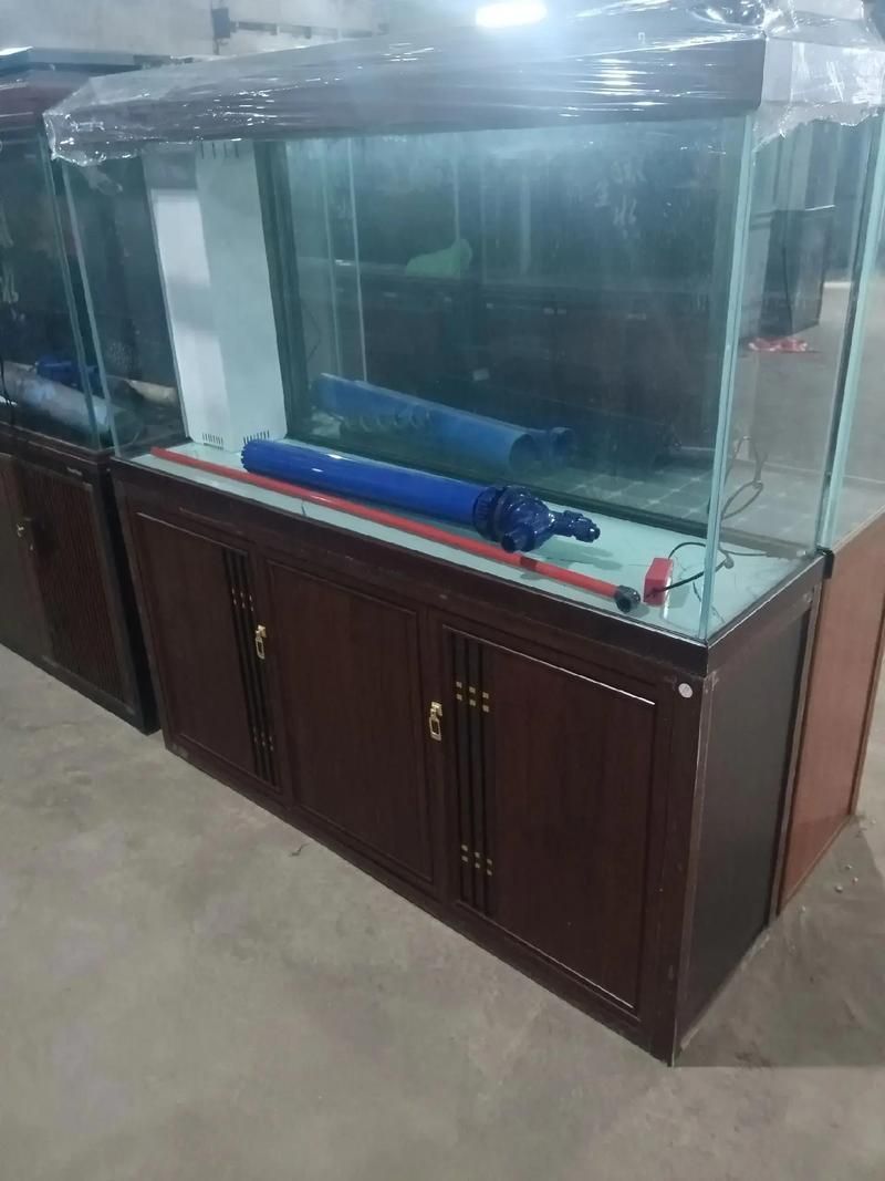 吉安魚缸批發市場的未來發展趨勢如何？（吉安魚缸批發市場怎么樣？）
