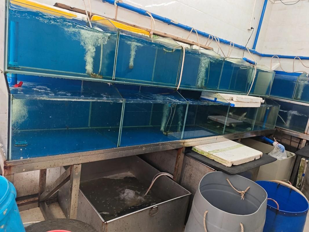 吉安魚缸批發市場的未來發展趨勢如何？（吉安魚缸批發市場怎么樣？）