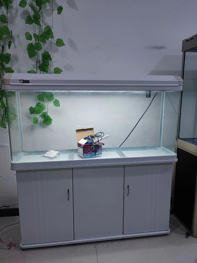 吉安魚缸批發市場的未來發展趨勢如何？（吉安魚缸批發市場怎么樣？）