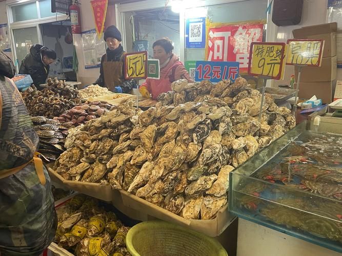 觀賞魚批發市場是一個專門銷售各種觀賞魚的場所（如何進入武漢觀賞魚批發市場？）