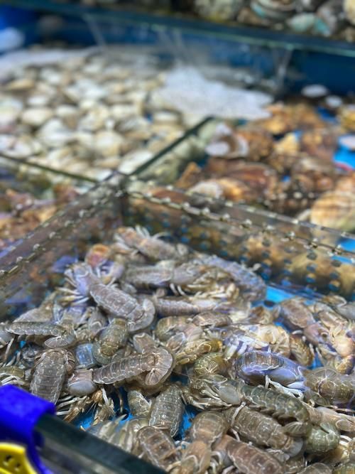 觀賞魚批發市場是一個專門銷售各種觀賞魚的場所（如何進入武漢觀賞魚批發市場？）