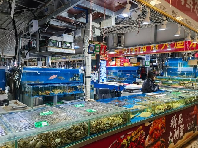 觀賞魚批發市場是一個專門銷售各種觀賞魚的場所（如何進入武漢觀賞魚批發市場？）