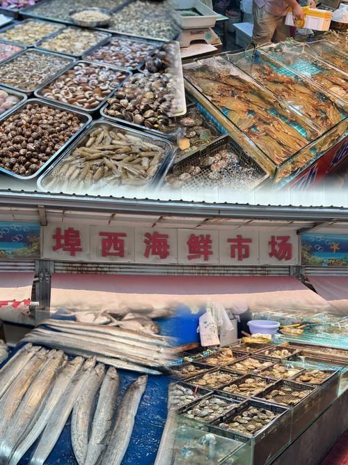 觀賞魚批發市場是一個專門銷售各種觀賞魚的場所（如何進入武漢觀賞魚批發市場？）