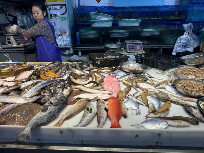 觀賞魚批發市場是一個專門銷售各種觀賞魚的場所（如何進入武漢觀賞魚批發市場？）