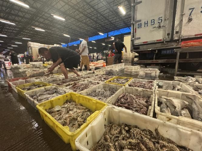 浙江寧波水族批發市場，寧波水族批發市場和祥龍魚場在中國有哪些主要商戶