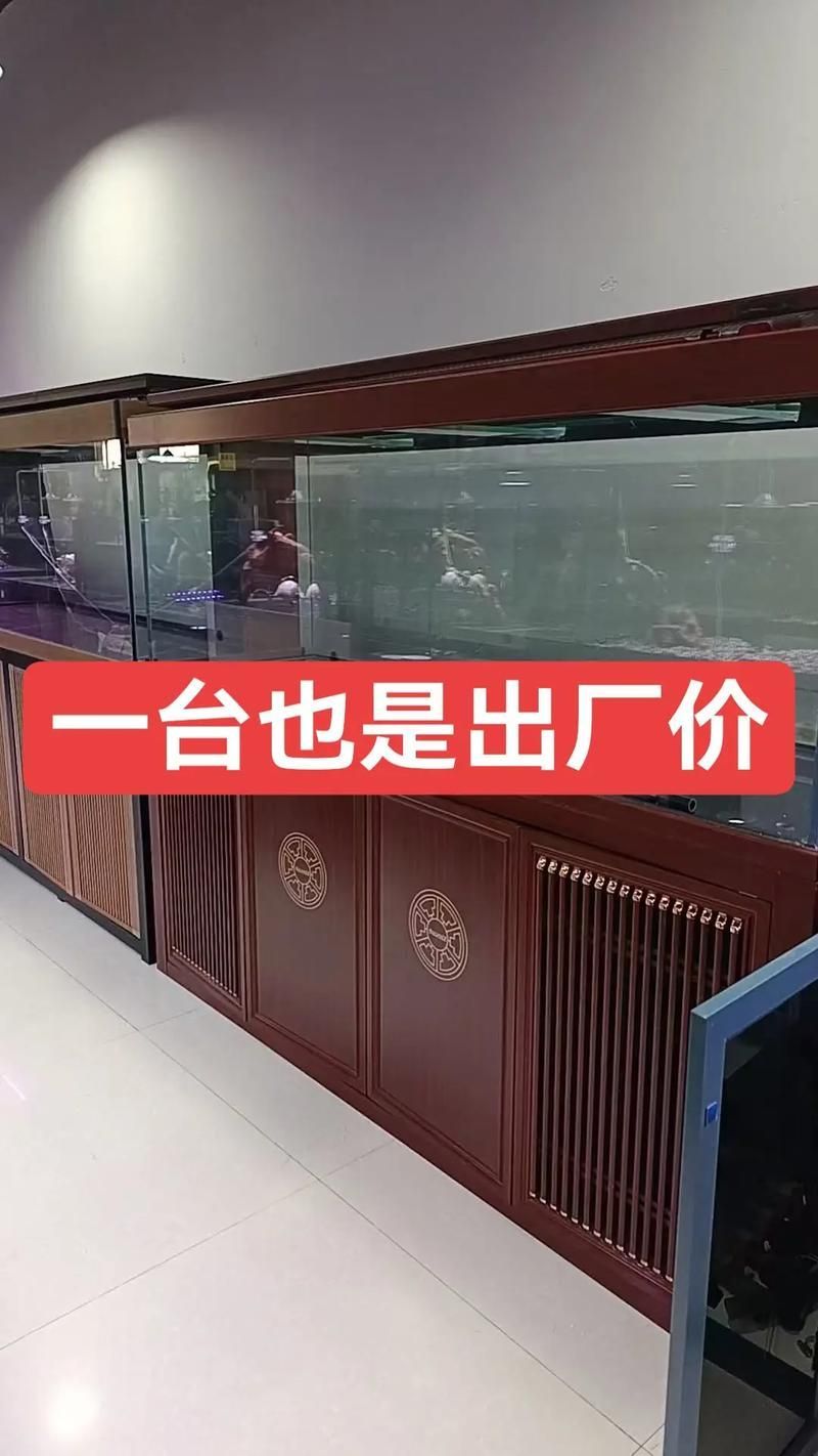 濟寧觀賞魚批發市場怎么樣？，濟寧觀賞魚批發市場和祥龍魚場的營銷策略是什么