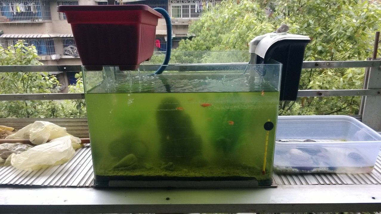 葫蘆島魚缸售后維護中心地址葫蘆島魚缸售后維護中心地址及電話，葫蘆島魚缸售后維護中心地址