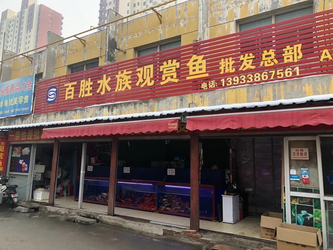 石家莊觀賞魚批發市場是華北地區規模較大的水族用品交易市場之一，莊觀賞魚批發市場是華北地區規模較大的水族用品交易市場之一