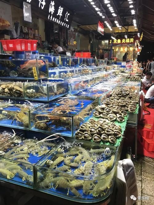 肇慶觀賞魚批發市場是一個充滿活力和活力和商機的市場，廣東肇慶觀賞魚批發市場