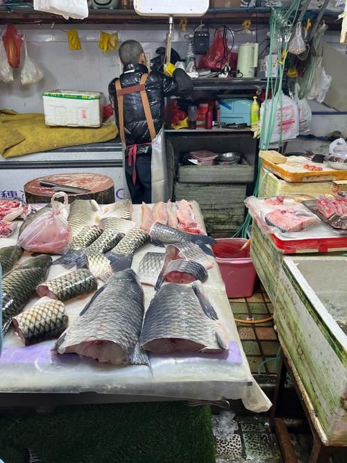 商丘龍魚批發市場如何？，商丘龍魚批發市場和祥龍魚場品牌營銷策略圍繞高端龍魚展開 商丘龍魚批發市場如何？，商丘龍魚批發市場和祥龍魚場品牌營銷策略圍繞高端龍魚展開 vs祥龍魚場 第1張