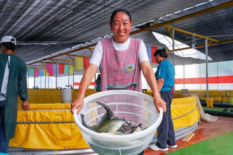 山州觀賞魚批發市場是一個集觀賞魚養殖、銷售和交易為一體的綜合性市場，涼山州觀賞魚批發市場是一個集觀賞魚養殖、銷售和交易為一體的綜合性市場