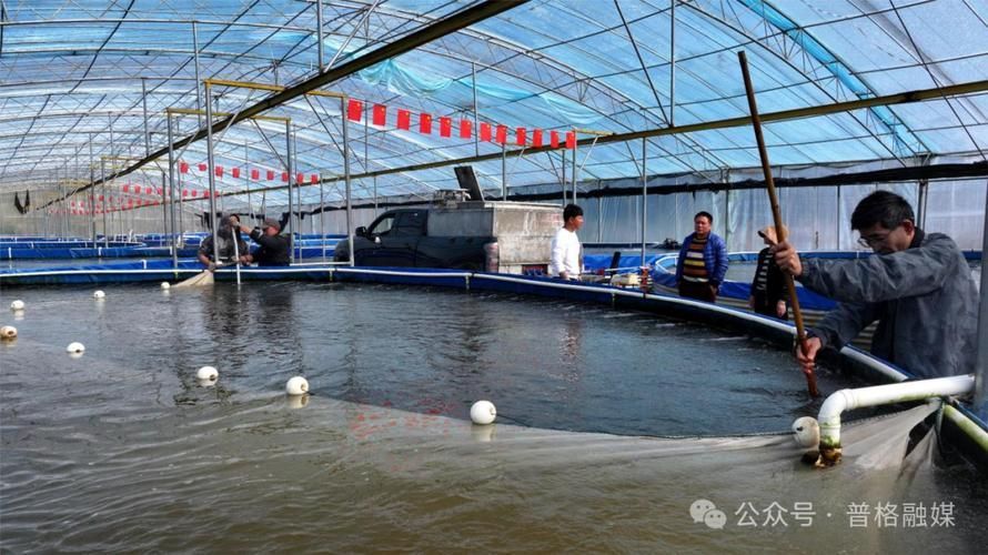 山州觀賞魚批發市場是一個集觀賞魚養殖、銷售和交易為一體的綜合性市場，涼山州觀賞魚批發市場是一個集觀賞魚養殖、銷售和交易為一體的綜合性市場