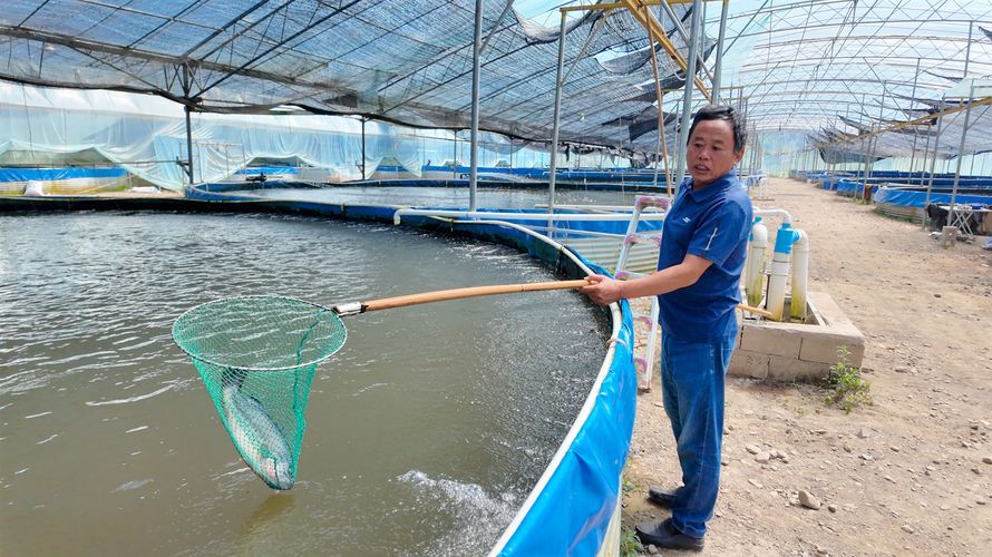 山州觀賞魚批發市場是一個集觀賞魚養殖、銷售和交易為一體的綜合性市場，涼山州觀賞魚批發市場是一個集觀賞魚養殖、銷售和交易為一體的綜合性市場