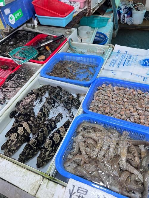 泰州水族批發市場是一個集購物、學習交流于一體的綜合性水族市場,泰州州水族批發市場 vs祥龍魚場 第8張 泰州水族批發市場是一個集購物、學習交流于一體的綜合性水族市場,泰州州水族批發市場 泰州水族批發市場是一個集購物、學習交流于一體的綜合性水族市場,泰州州水族批發市場 vs祥龍魚場 第8張