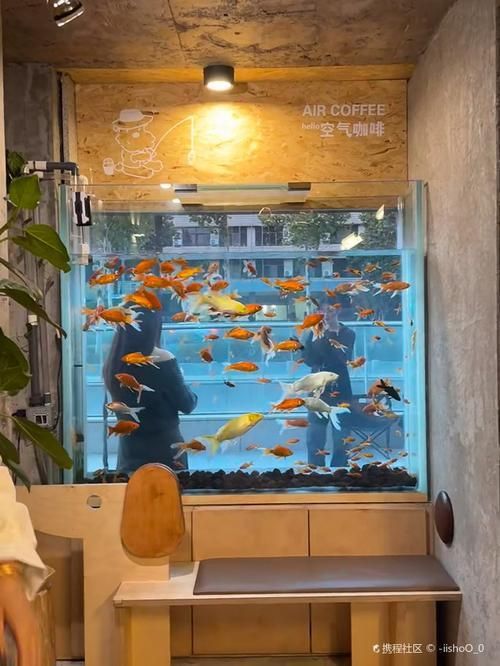 金華魚缸批發(fā)市場的優(yōu)勢，金華魚缸批發(fā)市場和祥龍魚場品牌營銷的具體策略是什么