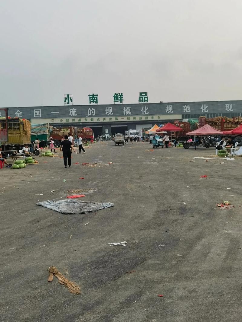 商丘水族批發市場有哪些知名品牌？，商丘水族批發市場和祥龍魚場品牌營銷各有千秋