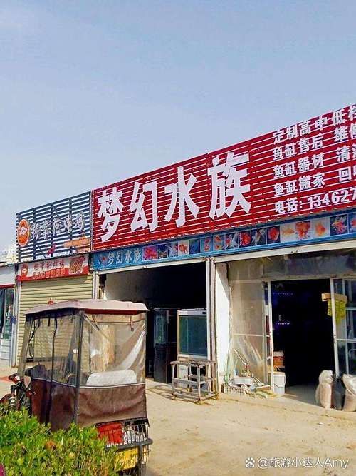 商丘水族批發市場有哪些知名品牌？，商丘水族批發市場和祥龍魚場品牌營銷各有千秋