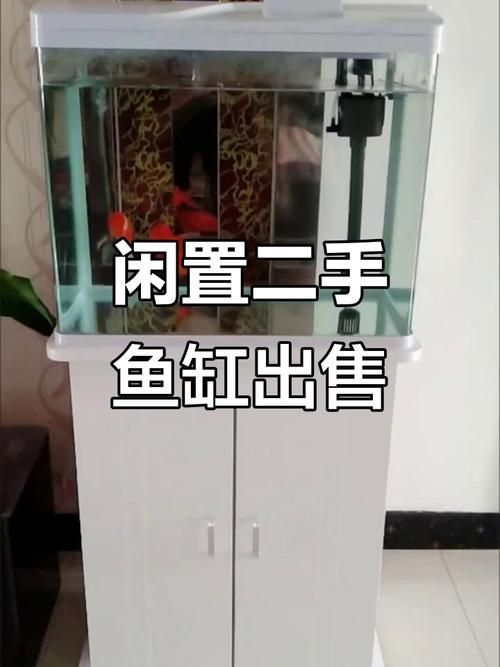 襄陽魚缸批發市場怎么樣？，襄陽魚缸批發市場和祥龍魚場品牌營銷策略可圈可點