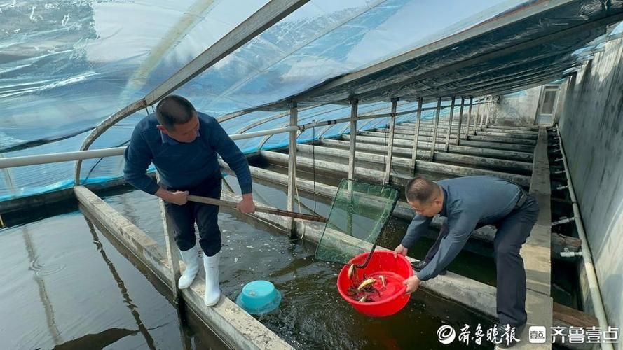 泰安觀賞魚批發市場位于山東省泰安觀賞魚批發市場，山東泰安觀賞魚批發市場