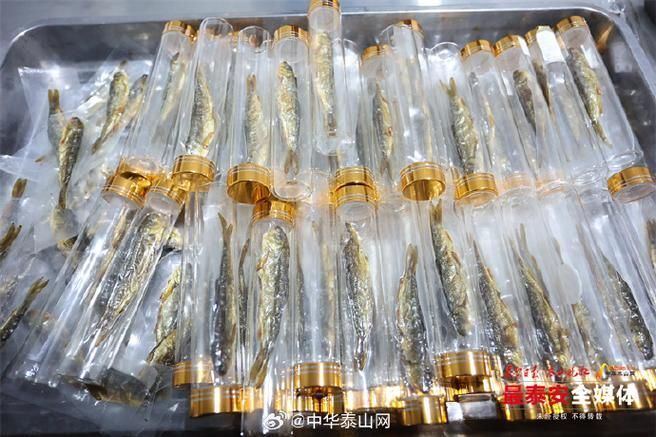 泰安觀賞魚批發(fā)市場位于山東省泰安觀賞魚批發(fā)市場，山東泰安觀賞魚批發(fā)市場
