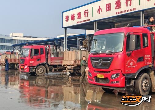 荊州水族批發市場的潛力是什么祥龍魚場的品牌定位是什么，湖北荊州水族批發市場