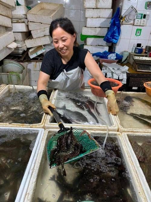 荊州水族批發市場的潛力是什么祥龍魚場的品牌定位是什么，湖北荊州水族批發市場