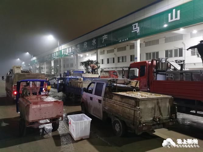 荊州水族批發市場的潛力是什么祥龍魚場的品牌定位是什么，湖北荊州水族批發市場