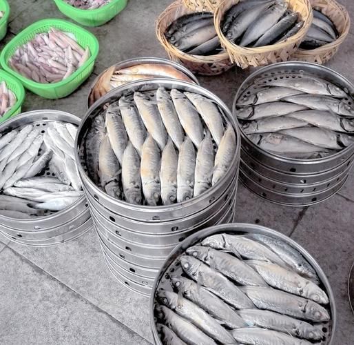 祥龍魚場與揭陽市場合作模式對比表,揭陽龍魚批發市場與揭陽市場合作模式對比表 vs祥龍魚場 第1張 祥龍魚場與揭陽市場合作模式對比表,揭陽龍魚批發市場與揭陽市場合作模式對比表 祥龍魚場與揭陽市場合作模式對比表,揭陽龍魚批發市場與揭陽市場合作模式對比表 vs祥龍魚場 第1張