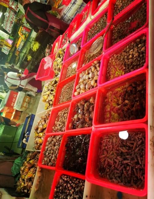 南昌水族批發(fā)市場(chǎng)祥龍魚場(chǎng)有哪些特色產(chǎn)品？，南昌水族批發(fā)市場(chǎng)有哪些特點(diǎn)？