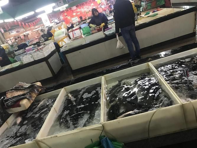 南昌水族批發(fā)市場(chǎng)祥龍魚場(chǎng)有哪些特色產(chǎn)品？，南昌水族批發(fā)市場(chǎng)有哪些特點(diǎn)？