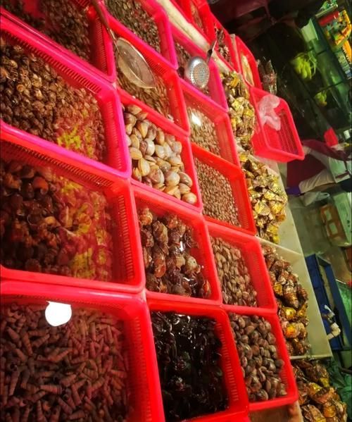南昌水族批發(fā)市場(chǎng)祥龍魚場(chǎng)有哪些特色產(chǎn)品？，南昌水族批發(fā)市場(chǎng)有哪些特點(diǎn)？
