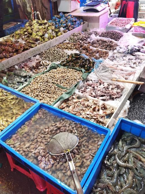 南昌水族批發(fā)市場(chǎng)祥龍魚場(chǎng)有哪些特色產(chǎn)品？，南昌水族批發(fā)市場(chǎng)有哪些特點(diǎn)？