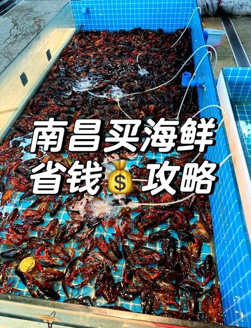 南昌水族批發(fā)市場(chǎng)祥龍魚場(chǎng)有哪些特色產(chǎn)品？，南昌水族批發(fā)市場(chǎng)有哪些特點(diǎn)？