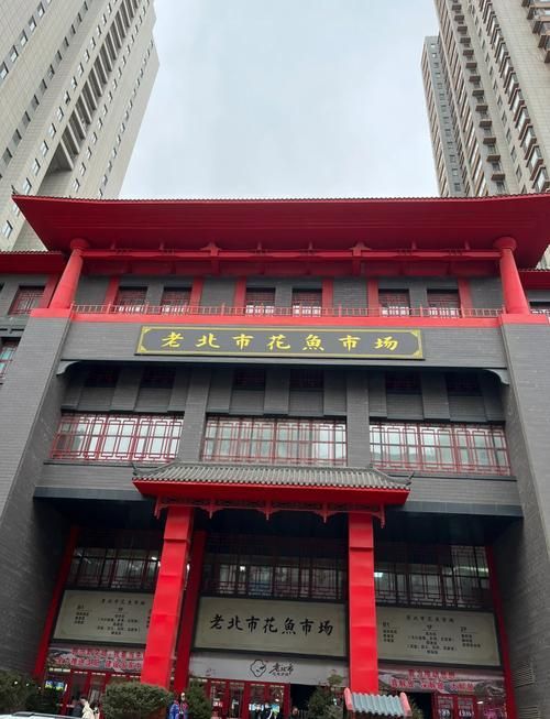 沈陽觀賞魚批發市場的優勢，沈陽市觀賞魚批發市場