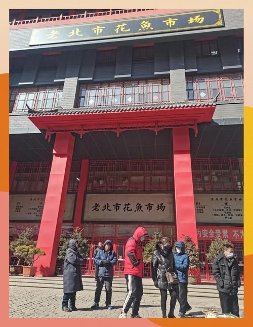 沈陽觀賞魚批發市場的優勢，沈陽市觀賞魚批發市場