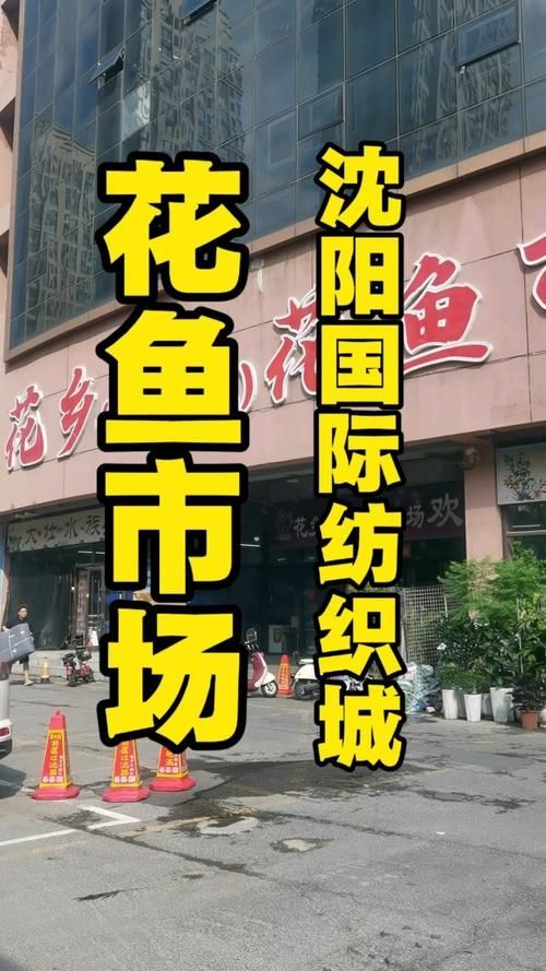沈陽觀賞魚批發市場的優勢，沈陽市觀賞魚批發市場