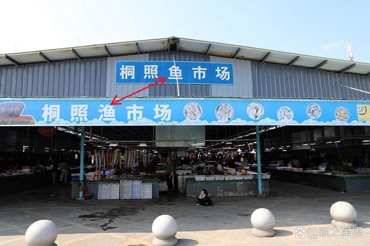 寧波觀賞魚批發市場是一個集品種豐富、價格合理和服務周到于一體的專業市場，如何分析寧波觀賞魚批發市場的趨勢？